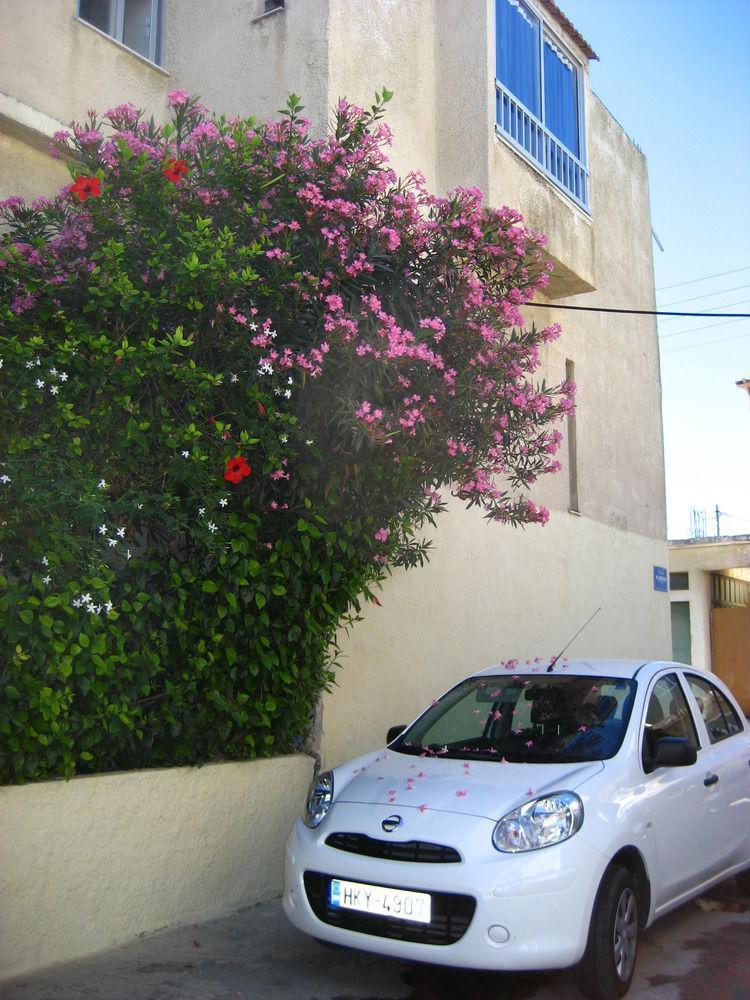 Vivian Apartment Ialysos (Rhodes)